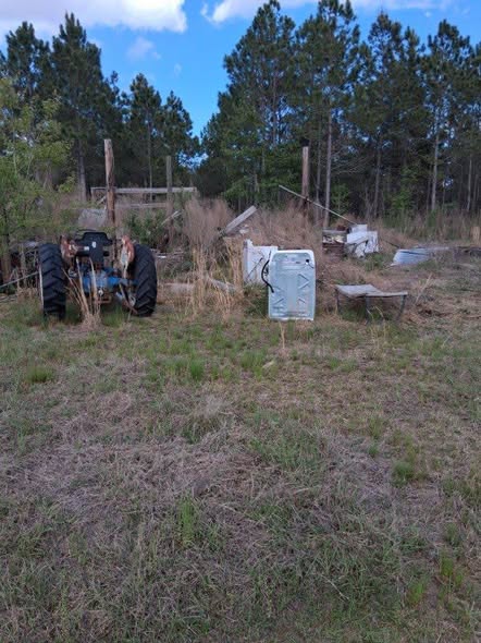 Commercial / Lot Cleanup — before